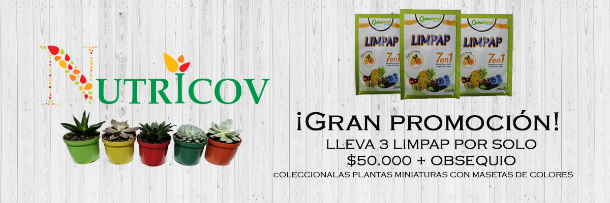 PURGANTE LILMPAP